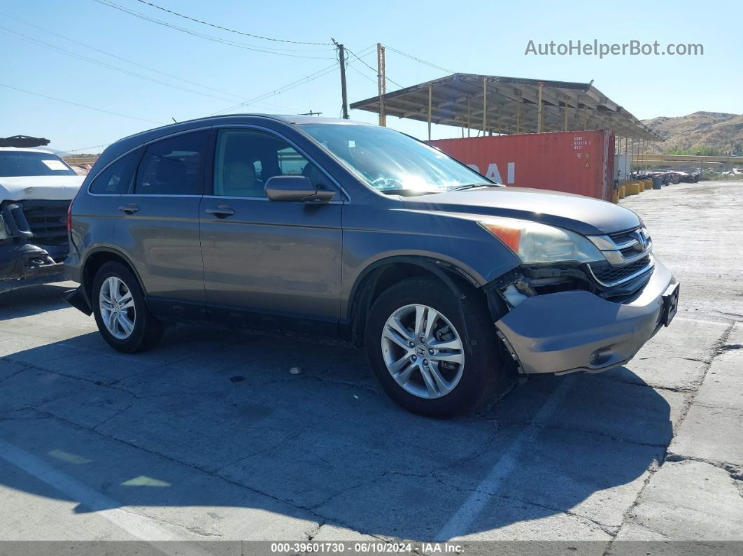 2010 Honda Cr-v Ex-l Brown vin: 5J6RE4H72AL066528