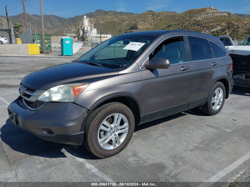 2010 Honda Cr-v Ex-l Brown vin: 5J6RE4H72AL066528