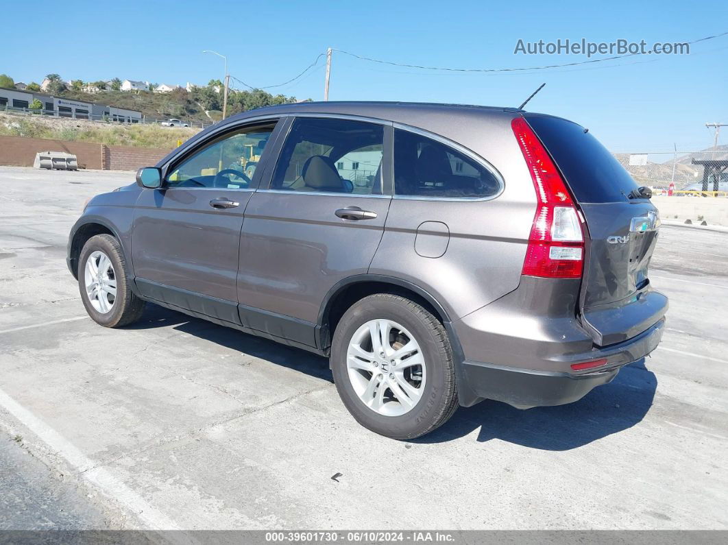 2010 Honda Cr-v Ex-l Brown vin: 5J6RE4H72AL066528