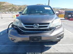 2010 Honda Cr-v Ex-l Brown vin: 5J6RE4H72AL066528