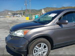 2010 Honda Cr-v Ex-l Brown vin: 5J6RE4H72AL066528