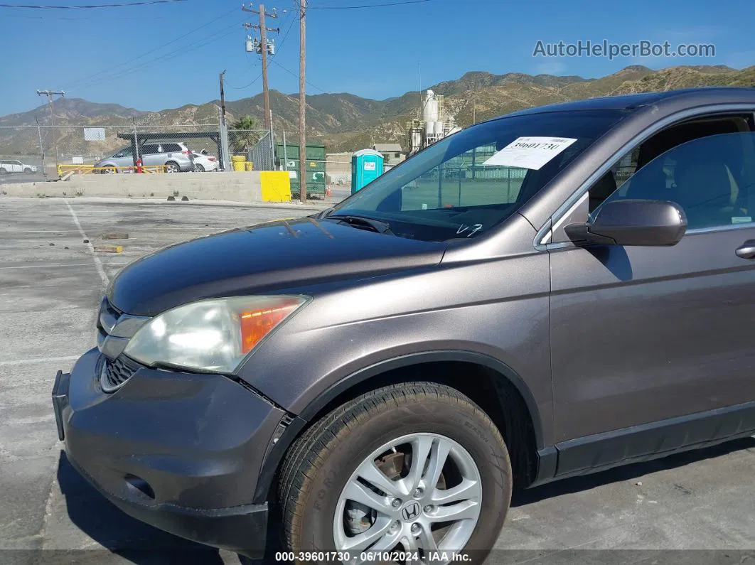 2010 Honda Cr-v Ex-l Brown vin: 5J6RE4H72AL066528