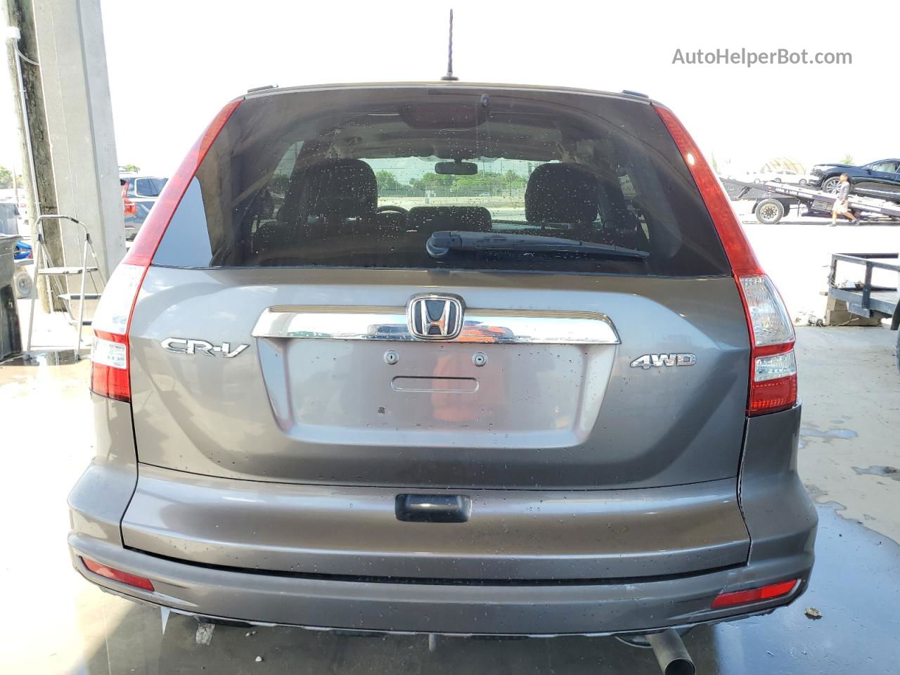 2010 Honda Cr-v Exl Gray vin: 5J6RE4H73AL001803