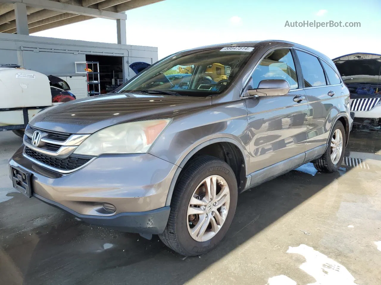 2010 Honda Cr-v Exl Gray vin: 5J6RE4H73AL001803