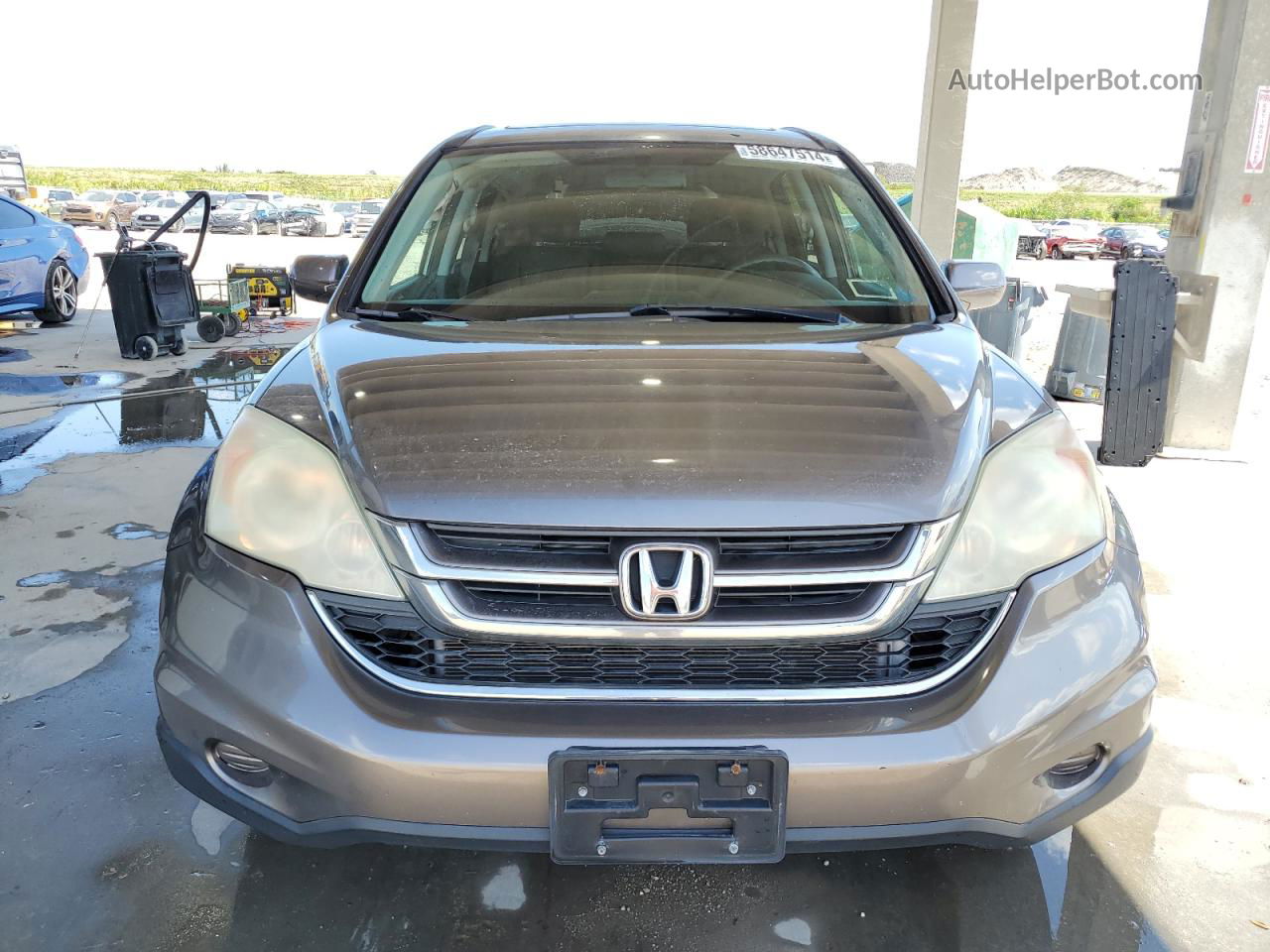 2010 Honda Cr-v Exl Gray vin: 5J6RE4H73AL001803