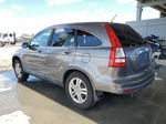 2010 Honda Cr-v Exl Gray vin: 5J6RE4H73AL001803