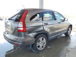 2010 Honda Cr-v Exl Gray vin: 5J6RE4H73AL001803