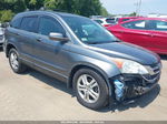 2010 Honda Cr-v Ex-l Gray vin: 5J6RE4H73AL052525