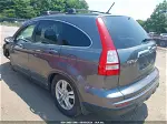 2010 Honda Cr-v Ex-l Gray vin: 5J6RE4H73AL052525