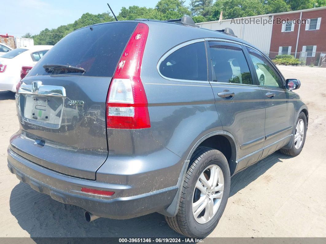 2010 Honda Cr-v Ex-l Gray vin: 5J6RE4H73AL052525