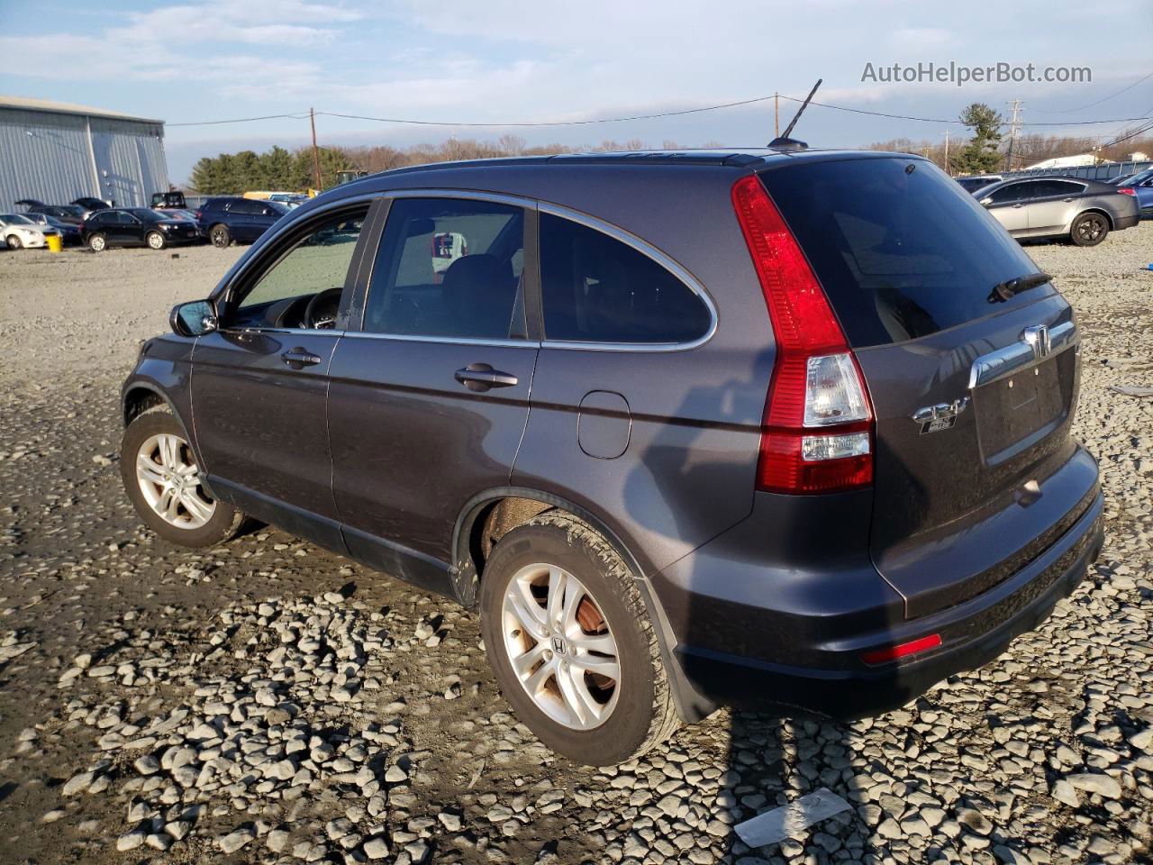 2010 Honda Cr-v Exl Коричневый vin: 5J6RE4H73AL060012