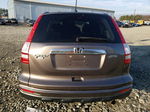 2010 Honda Cr-v Exl Brown vin: 5J6RE4H73AL060012