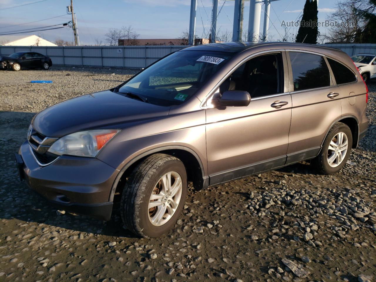 2010 Honda Cr-v Exl Коричневый vin: 5J6RE4H73AL060012