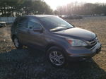 2010 Honda Cr-v Exl Коричневый vin: 5J6RE4H73AL060012