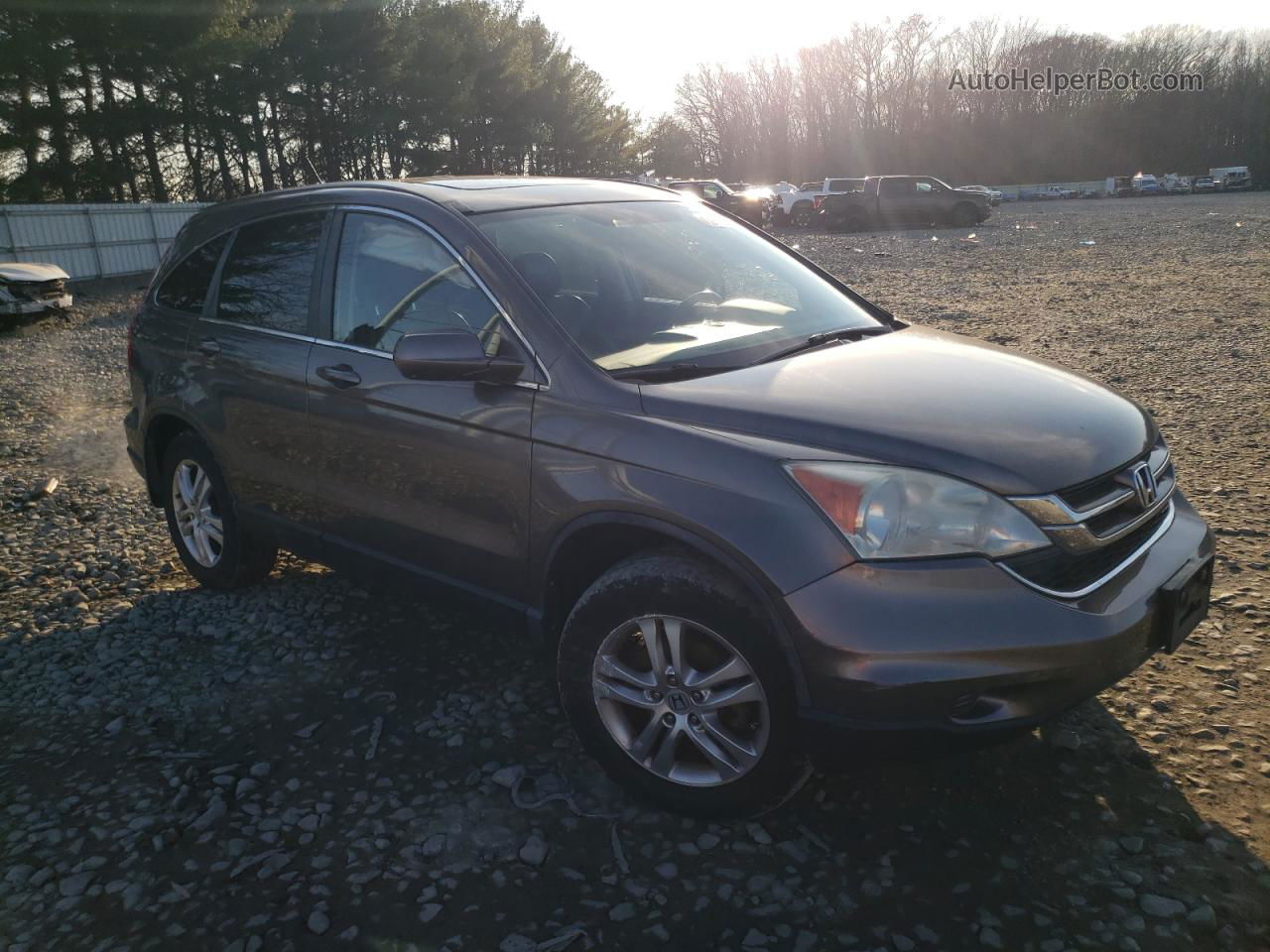 2010 Honda Cr-v Exl Brown vin: 5J6RE4H73AL060012