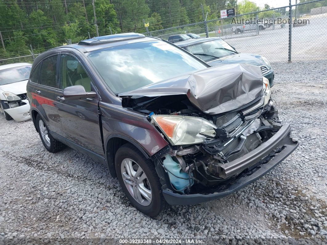 2010 Honda Cr-v Ex-l Gray vin: 5J6RE4H73AL097223