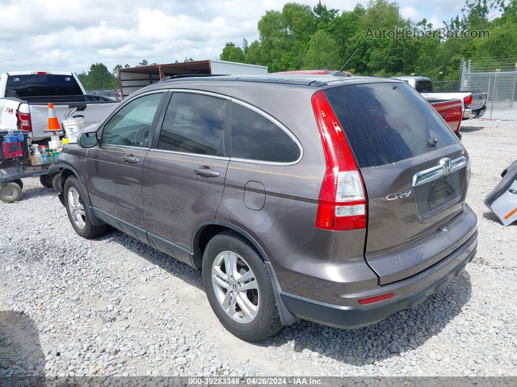 2010 Honda Cr-v Ex-l Gray vin: 5J6RE4H73AL097223