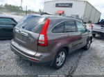 2010 Honda Cr-v Ex-l Gray vin: 5J6RE4H73AL097223