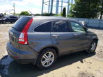 2010 Honda Cr-v Exl Gray vin: 5J6RE4H73AL100475