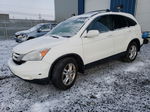 2010 Honda Cr-v Exl White vin: 5J6RE4H73AL813067