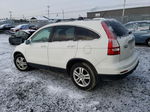 2010 Honda Cr-v Exl White vin: 5J6RE4H73AL813067