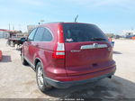 2010 Honda Cr-v Ex-l Темно-бордовый vin: 5J6RE4H74AL020344