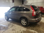 2010 Honda Cr-v Exl Gray vin: 5J6RE4H75AL033524