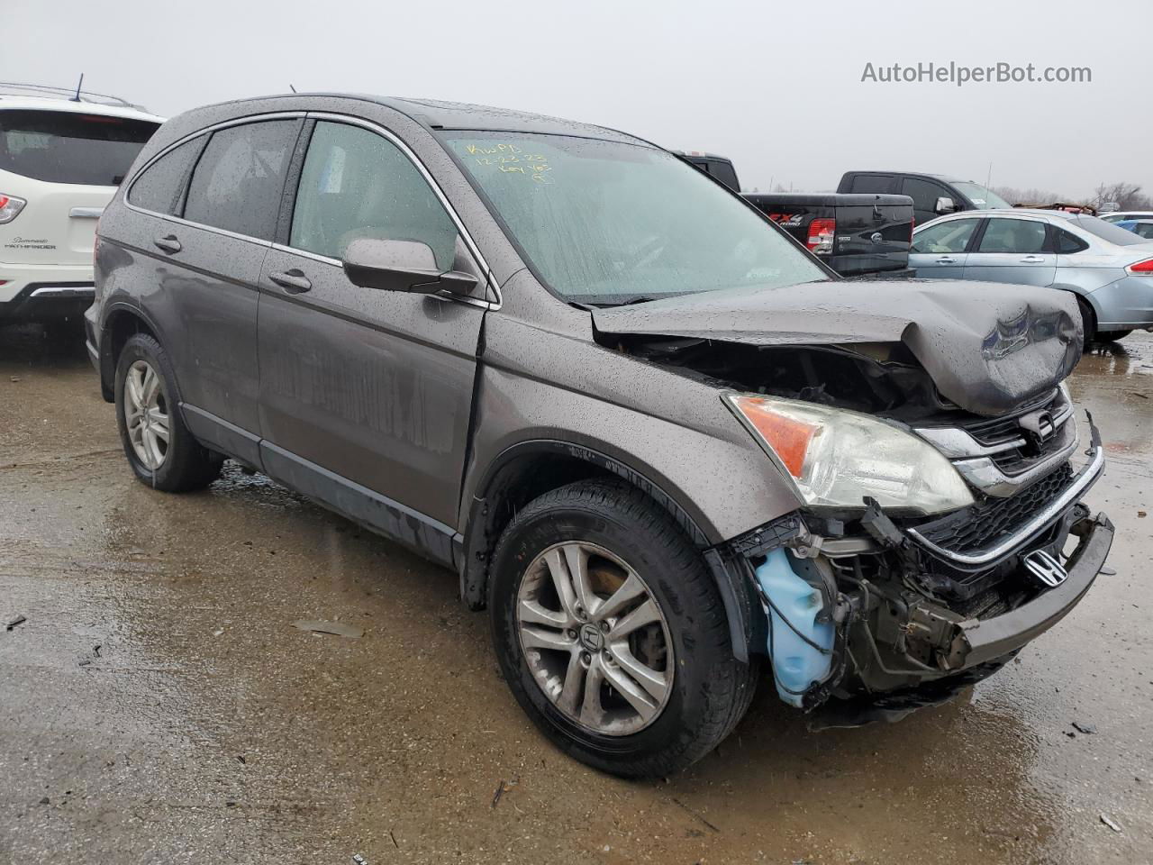 2010 Honda Cr-v Exl Silver vin: 5J6RE4H75AL044376