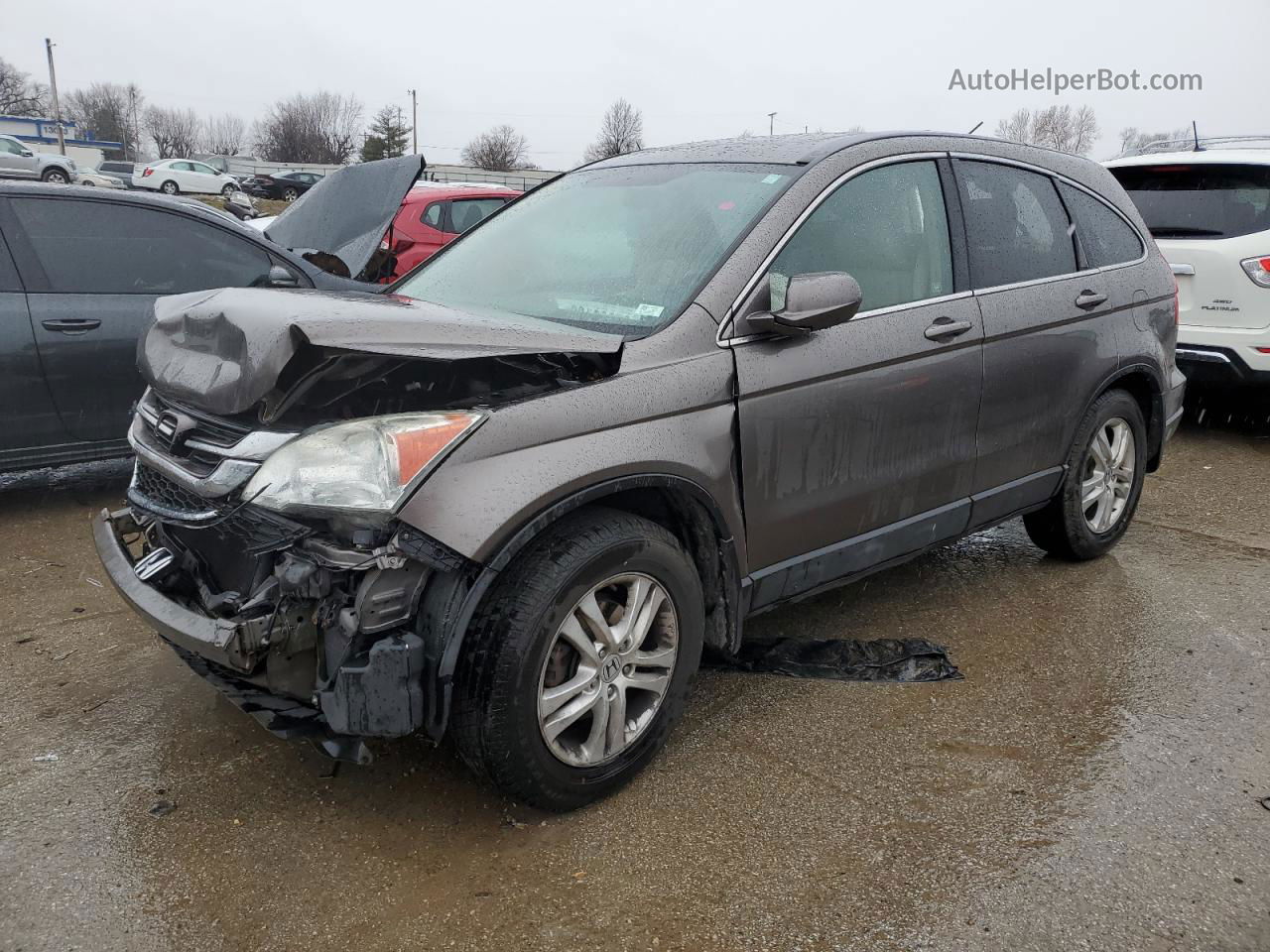 2010 Honda Cr-v Exl Silver vin: 5J6RE4H75AL044376