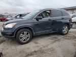 2010 Honda Cr-v Exl Black vin: 5J6RE4H75AL062568