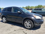 2010 Honda Cr-v Exl Black vin: 5J6RE4H75AL067530