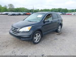 2010 Honda Cr-v Ex-l Black vin: 5J6RE4H75AL067656