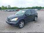 2010 Honda Cr-v Ex-l Black vin: 5J6RE4H75AL067656