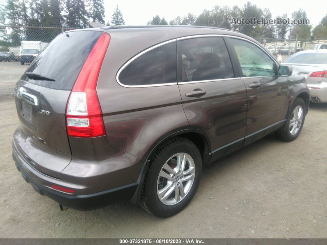 2010 Honda Cr-v Ex-l Tan vin: 5J6RE4H75AL084523