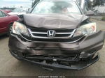 2010 Honda Cr-v Ex-l Tan vin: 5J6RE4H75AL084523