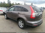 2010 Honda Cr-v Ex-l Tan vin: 5J6RE4H75AL084523