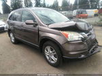 2010 Honda Cr-v Ex-l Tan vin: 5J6RE4H75AL084523