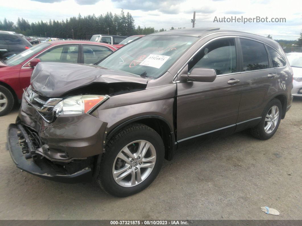 2010 Honda Cr-v Ex-l Tan vin: 5J6RE4H75AL084523