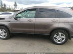 2010 Honda Cr-v Ex-l Tan vin: 5J6RE4H75AL084523