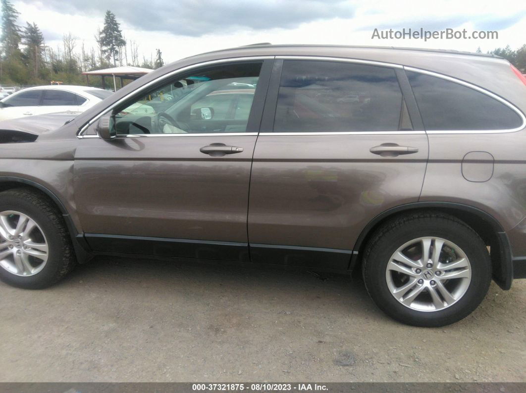 2010 Honda Cr-v Ex-l Tan vin: 5J6RE4H75AL084523