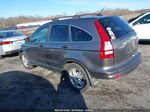 2010 Honda Cr-v Ex-l Gray vin: 5J6RE4H75AL089284