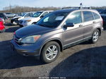 2010 Honda Cr-v Ex-l Gray vin: 5J6RE4H75AL089284