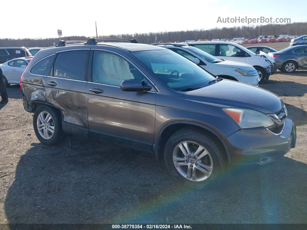 2010 Honda Cr-v Ex-l Gray vin: 5J6RE4H75AL089284