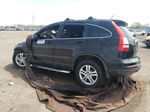 2010 Honda Cr-v Exl Burn vin: 5J6RE4H75AL809649