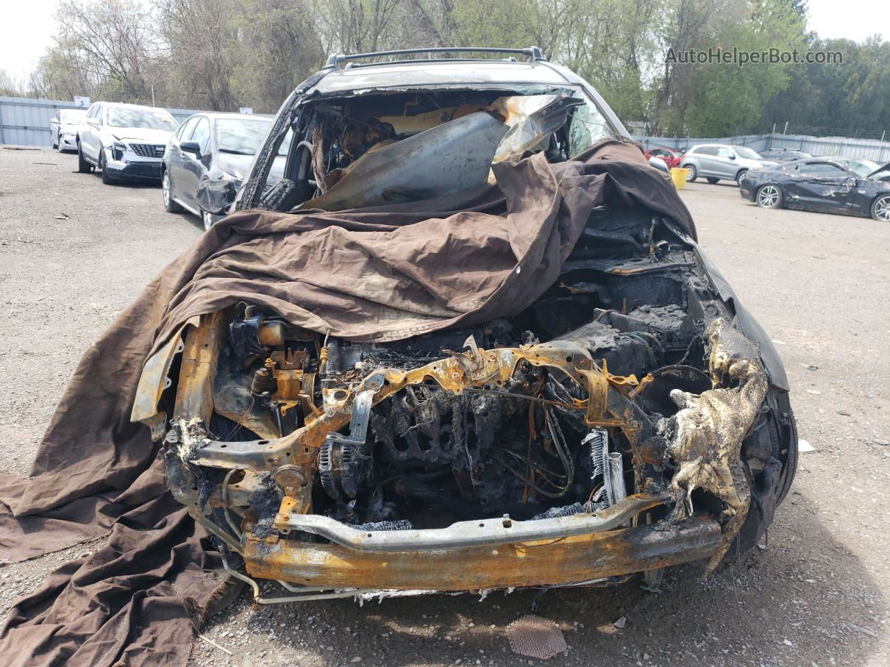 2010 Honda Cr-v Exl Burn vin: 5J6RE4H75AL809649