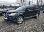 2010 Honda Cr-v Exl Black vin: 5J6RE4H76AL018112