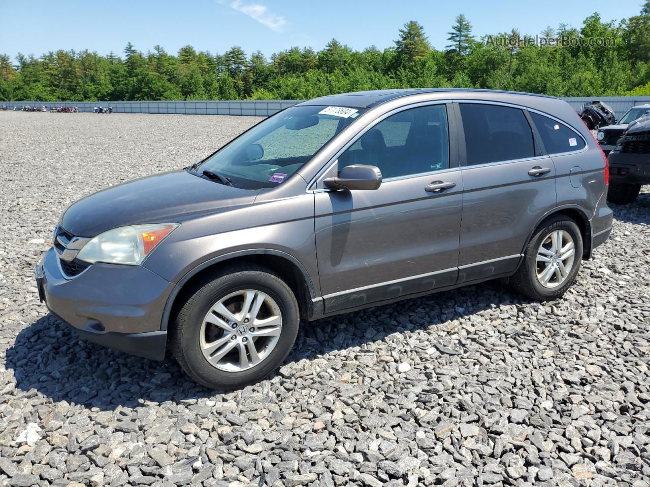 2010 Honda Cr-v Exl Tan vin: 5J6RE4H76AL048842