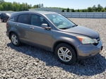 2010 Honda Cr-v Exl Tan vin: 5J6RE4H76AL048842