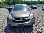 2010 Honda Cr-v Exl Tan vin: 5J6RE4H76AL048842