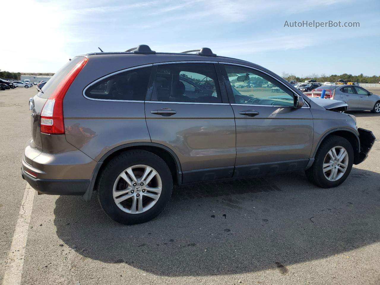 2010 Honda Cr-v Exl Gray vin: 5J6RE4H76AL051420